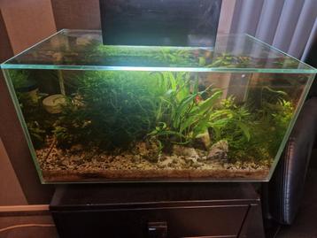 Aquarium compleet filter, licht, pomp en verwarming.  beschikbaar voor biedingen
