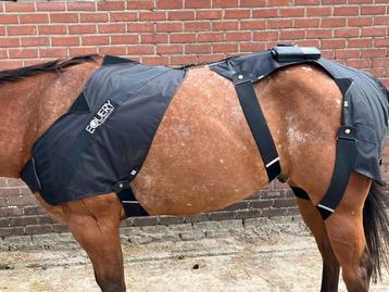  Rugklachten? Revalidatie paard thuis. Massage en NMES beschikbaar voor biedingen