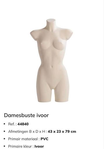 Paspop buste nieuw beschikbaar voor biedingen