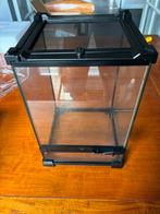 Terrarium zwart 20x 20x 30cm., Ophalen of Verzenden, Nieuw