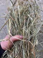 Dijkhooi, Ophalen of Verzenden, Vee