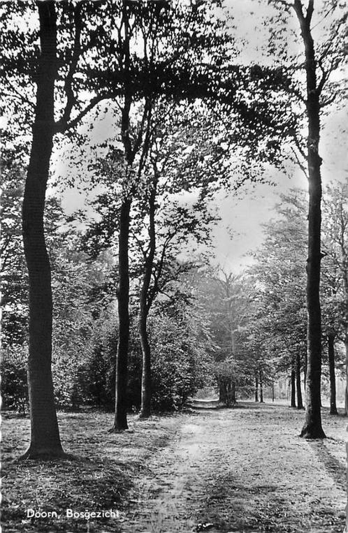 (388-362-023) Doorn Bosgezicht, Verzamelen, Ansichtkaarten | Nederland, Utrecht, Verzenden