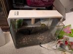 Superfish home 60, Ophalen, Zo goed als nieuw, Leeg aquarium