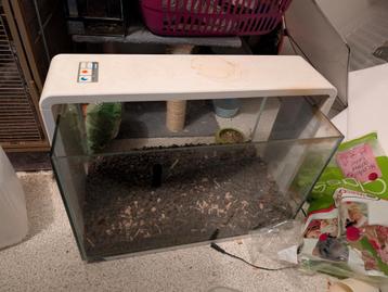 Superfish home 60 beschikbaar voor biedingen