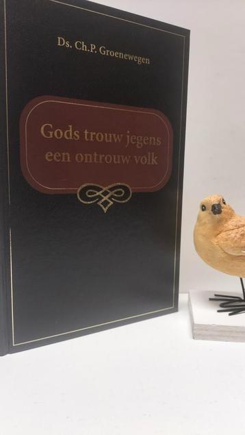 Groenewegen, Ds. Ch. P.; Gods trouw jegens een ontrouw volk beschikbaar voor biedingen