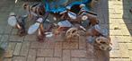 Vintage schoenmakers leest, Ophalen of Verzenden
