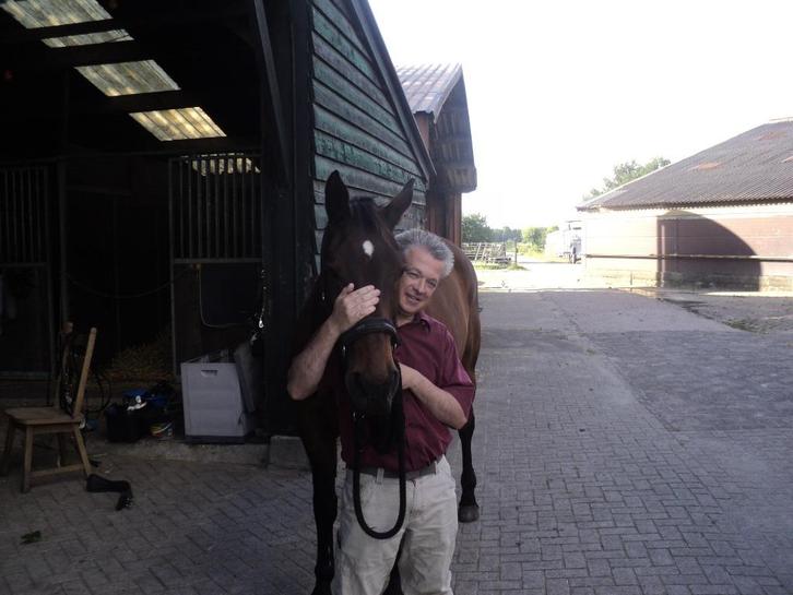 Bijrijder biedt zich aan, verzorgpaard gezocht, Dieren en Toebehoren, Paarden en Pony's | Verzorgingsproducten, Zo goed als nieuw