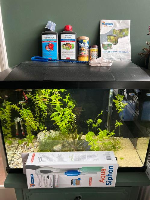 Aquarium incl vissen voer enz 60 liter, Dieren en Toebehoren, Vissen | Aquaria en Toebehoren, Zo goed als nieuw, Gevuld zoetwateraquarium
