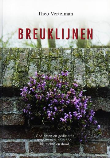 Breuklijnen - Theo Vertelman / 9789072820112   beschikbaar voor biedingen