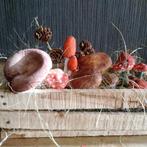 Prachtige paddenstoelen decoratie in kist, Antiek en Kunst, Verzenden