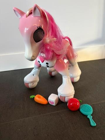 Zoomer show pony beschikbaar voor biedingen