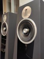 Zuaudio Experience, Overige merken, Gebruikt, Ophalen of Verzenden, 120 watt of meer