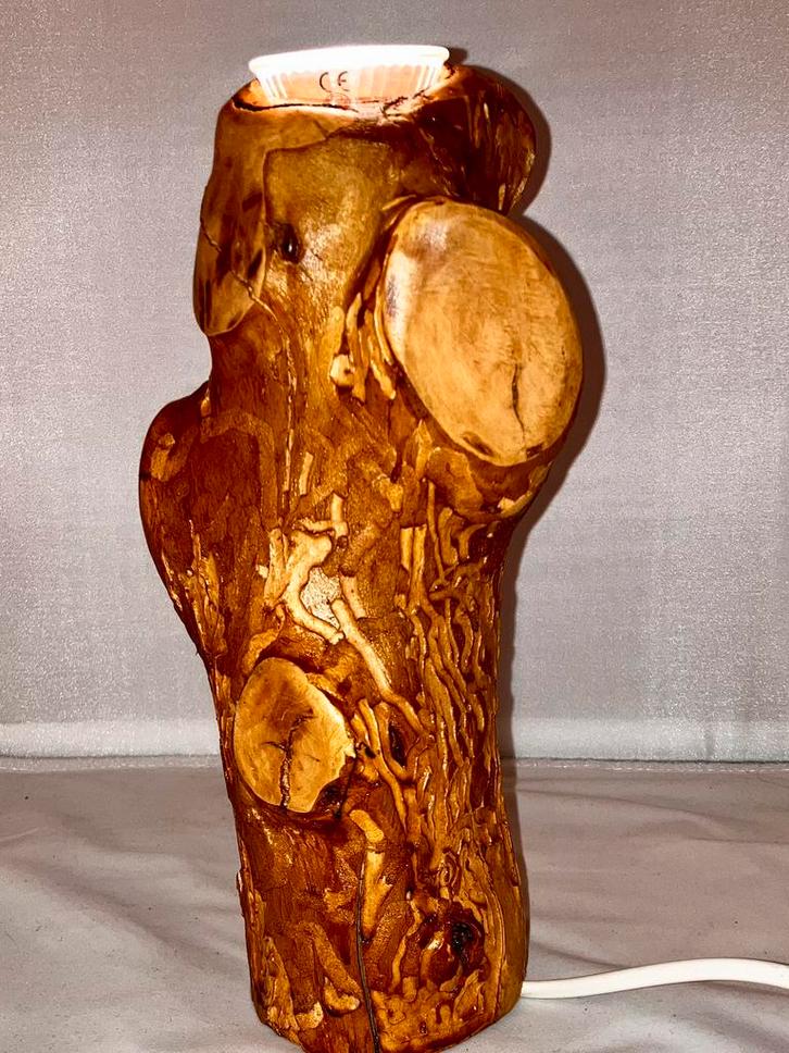 Boomstronk Lamp - Handgemaakt & Uniek!, Huis en Inrichting, Lampen | Tafellampen, Nieuw, Minder dan 50 cm, Hout, Ophalen of Verzenden