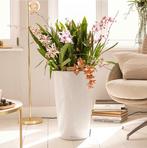 Lechuza - Rondo Premium 40 Wit hoogglans, Kunststof, Minder dan 60 cm, Rond, Ophalen of Verzenden