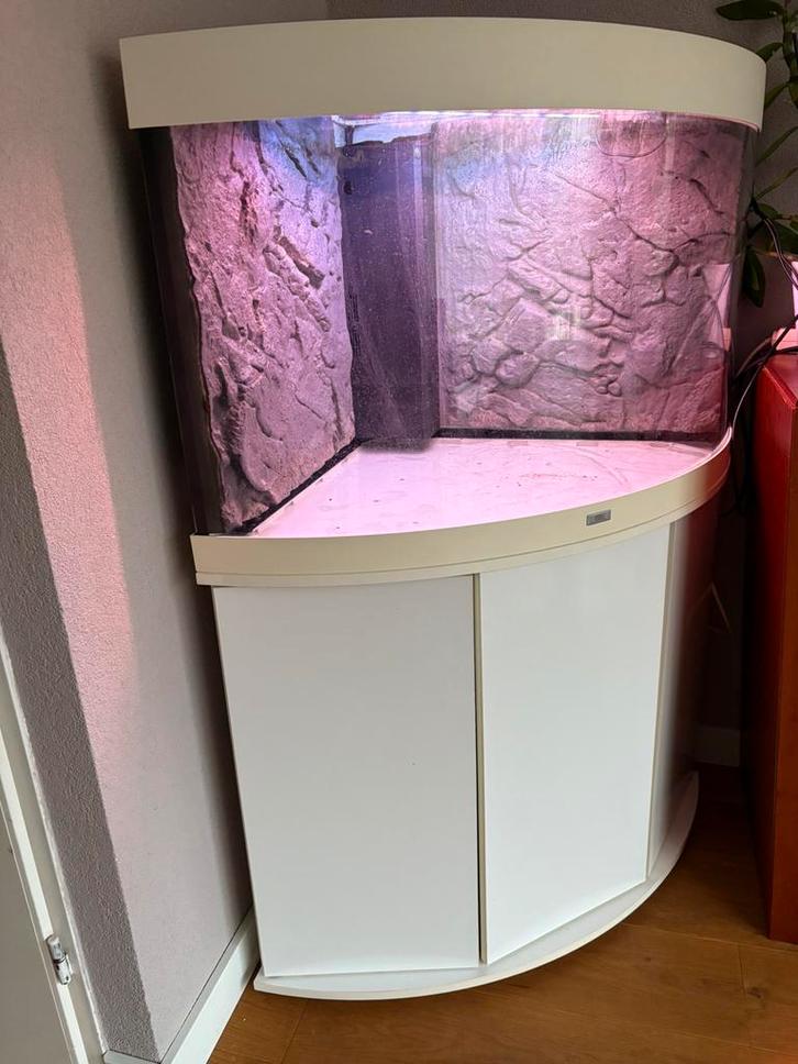 Juwel trigon 190 hoek aquarium - bezorging mogelijk, Dieren en Toebehoren, Vissen | Aquaria en Toebehoren, Zo goed als nieuw, Leeg aquarium