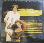 Duncan Browne - The wild places, Cd's en Dvd's, Ophalen of Verzenden, Zo goed als nieuw, 12 inch