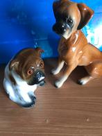 Honden, Ophalen of Verzenden, Zo goed als nieuw, Dier