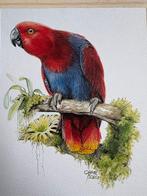 8 fraaie vogelprenten, kunstdruk, 3 euro per stuk, Ophalen of Verzenden