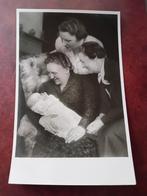 Ansichtkaart Koninklijk Huis, Verzamelen, Koninklijk Huis en Royalty, Ophalen of Verzenden, Zo goed als nieuw, Kaart, Foto of Prent