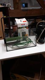 Waterschildpadden bak met filter, Ophalen, Zo goed als nieuw, Terrarium of Paludarium