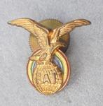 Goudkleurige wing F.A.I. Internationale Luchtvaart Federatie, Verzamelen, Ophalen of Verzenden, Luchtmacht, Nederland, Embleem of Badge