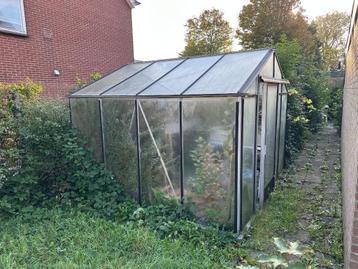 Arkoo Prof tuinkas 310x310 cm – stevige kas, zelf demonteren beschikbaar voor biedingen