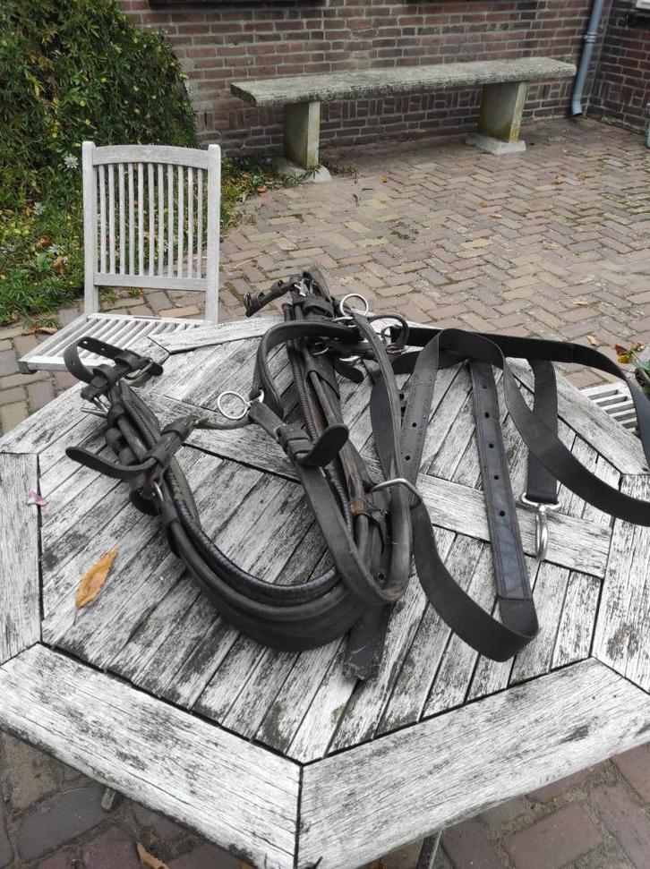 Paul Claessen borsttuig – leren enkelspan – full, Dieren en Toebehoren, Paarden en Pony's | Hoofdstellen en Tuigage, Gebruikt