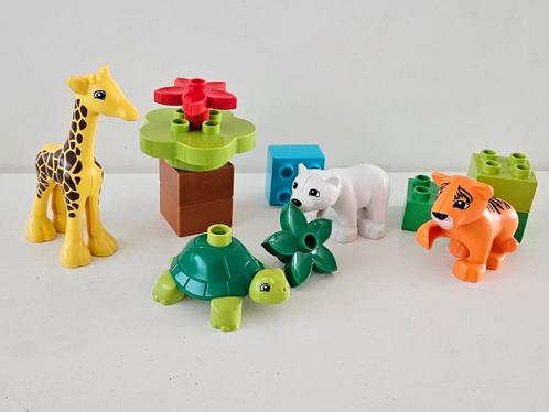 Lego duplo 10801 de wereld rond jonge dieren - compleet, Kinderen en Baby's, Speelgoed | Duplo en Lego, Zo goed als nieuw, Duplo