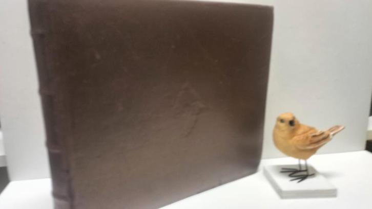 Vries, B. de;  De melodieën der Psalmen, Muziek en Instrumenten, Bladmuziek, Gebruikt, Artiest of Componist, Religie en Gospel