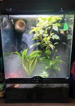 Terrarium ExoTerra 60x45x45 KALKVRIJ water gebruikt!, Ophalen, Gebruikt, Terrarium of Paludarium