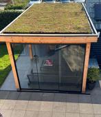 Sedum cassettes voor een mooi groen dak, Ophalen of Verzenden, Overige soorten, Volle zon