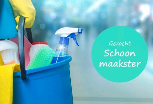 Gezocht, betrouwbare huishoudelijke hulp, Diensten en Vakmensen, Huishoudelijke hulp, Schoonmaken