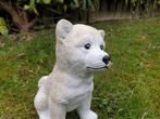 aanbieding , poolhond beton, Ophalen of Verzenden, Nieuw, Dier
