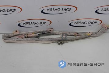 Volkswagen Passat CC Dakairbag Hemelairbag Rechts 3C8880742 beschikbaar voor biedingen