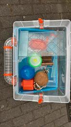 Gave kooi voor een Hamster of een Cavia, Kooi, Zo goed als nieuw, Hamster, Ophalen