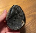 Prachtig septarie ei!, Verzamelen, Mineralen en Fossielen, Ophalen of Verzenden, Mineraal
