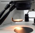 Microscoop Projectina, Gebruikt, Ophalen of Verzenden, Biologische microscoop
