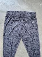 Korte driekwart legging van Zeeman maat 40 M - panterprint, Kleding | Dames, Leggings, Maillots en Panty's, Legging, Douwenmaat 8-3 Meppel