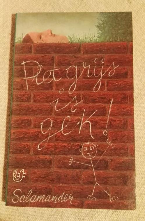 Piet Grijs *** Piet Grijs is gek, Boeken, Romans, Zo goed als nieuw, Nederland, Ophalen of Verzenden