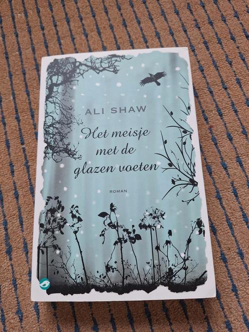 Het meisje met de glazen voeten van  Ali Shaw, Boeken, Fantasy, Ophalen of Verzenden