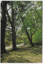 Heeze Gelopen Ansichtkaart ( B6008 ), Ophalen of Verzenden, Gelopen