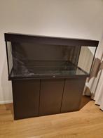 Juwel Aquarium Rio 240 led., Dieren en Toebehoren, Vissen | Aquaria en Toebehoren, Ophalen, Gebruikt, Leeg aquarium