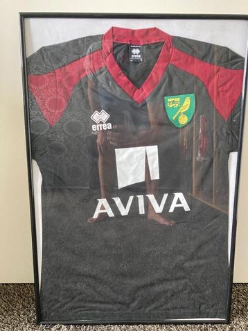 Norwich City shirt seizoen 2015-2016 beschikbaar voor biedingen