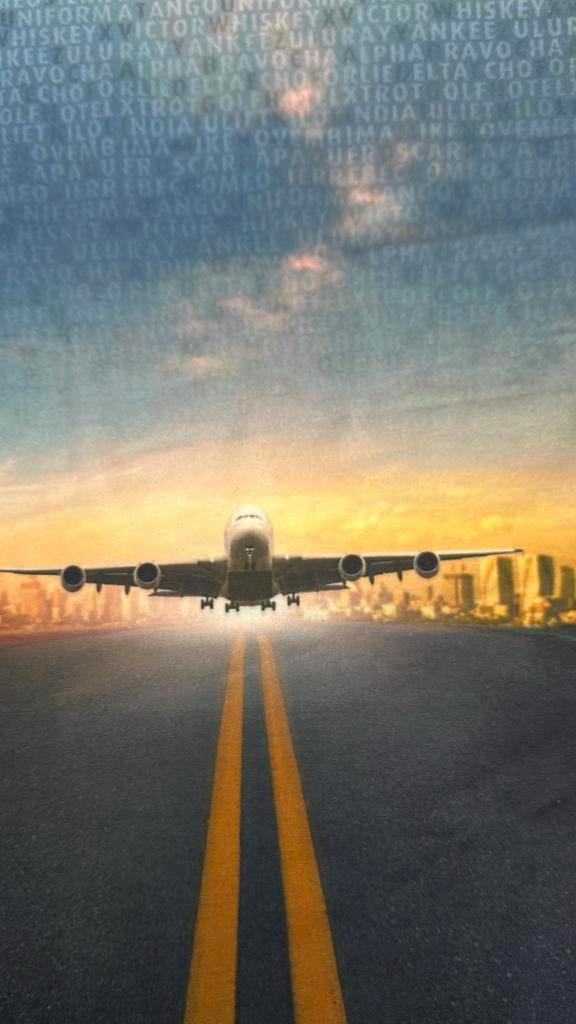 Airplaine french terry paneel deel, Hobby en Vrije tijd, Stoffen en Lappen, Nieuw, Katoen, 120 cm of meer, 30 tot 200 cm, Ophalen of Verzenden