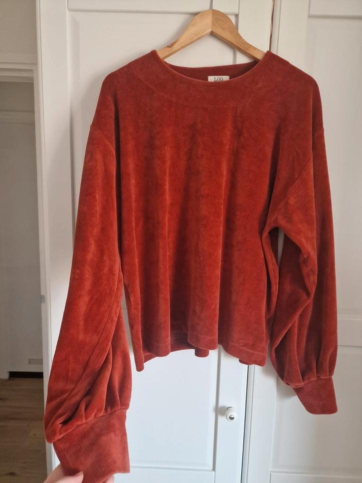 Lotte Oudshoorn Design pak, Kleding | Dames, Truien en Vesten, Zo goed als nieuw, Ophalen of Verzenden