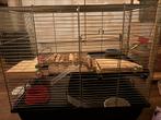 Hamster verblijf + veel spullen (zie beschrijving), Minder dan 60 cm, Kooi, Minder dan 75 cm, Ophalen of Verzenden