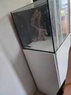 Aquarium  50x60x50 met kast, Ophalen, Zo goed als nieuw, Leeg aquarium