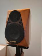 Diapason adamantes, Audio, Tv en Foto, Luidsprekers, Ophalen of Verzenden, Zo goed als nieuw, Front, Rear of Stereo speakers, Overige merken