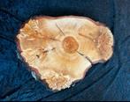 Burl / Burns / Knoest ! Puren Kunst, Ophalen of Verzenden