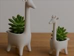 Giraffe plantenpotjes voor vet- of nepplanten., Ophalen of Verzenden, Nieuw, Overige typen